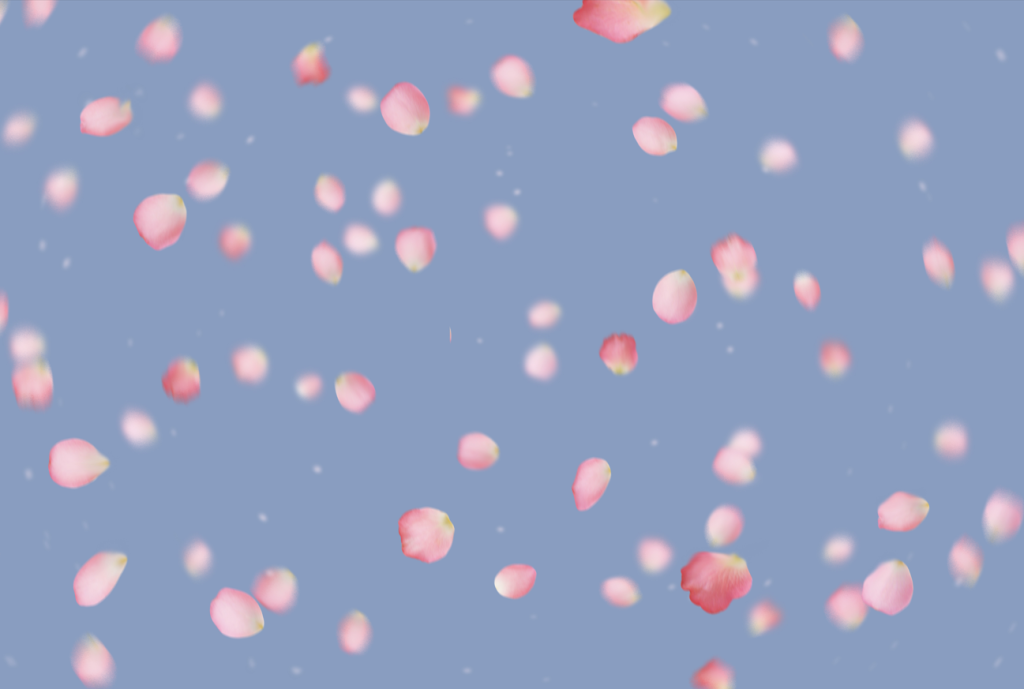 Falling Cherry Blossom Petals SFX Assets -Transparent Cosplay FX-COSPLAYFX