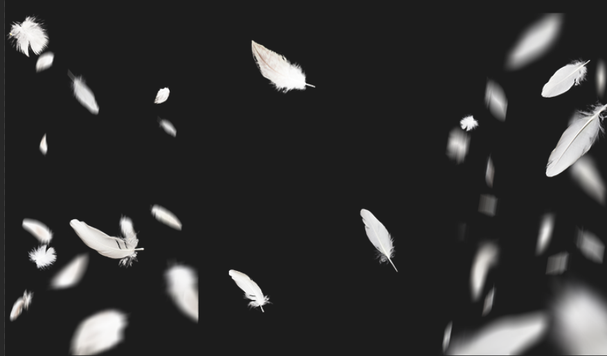 Flying Feathers Bird Pigeon PNG Transparent Assets-COSPLAYFX