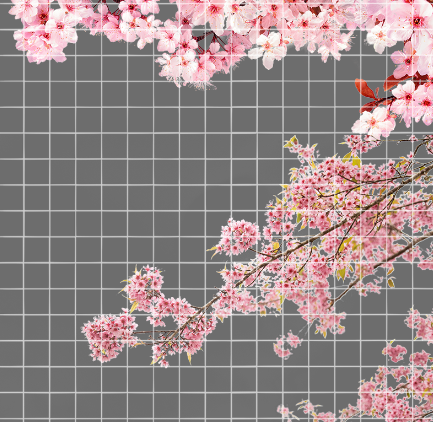 Fox Spirit Matchmaker Rongrong Tushan Cherry Blossom Cosplay PNG Assets